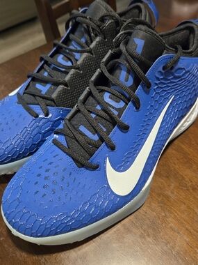 Nike Men's Blue Performance Training Shoes with White Swoosh